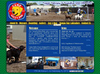 Affordable Custom Web site design Tampa Florida IBSI-US.COM Affordable Custom Web site design Tampa Florida