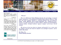Affordable Custom Web site design Tampa Florida IBSI-US.COM Affordable Custom Web site design Tampa Florida
