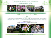 Affordable Custom Web site design Tampa Florida IBSI-US.COM Affordable Custom Web site design Tampa Florida
