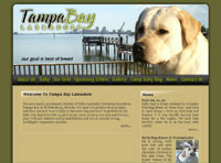 Affordable Custom Web site design Tampa Florida IBSI-US.COM Affordable Custom Web site design Tampa Florida
