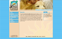 Affordable Custom Web site design Tampa Florida IBSI-US.COM Affordable Custom Web site design Tampa Florida