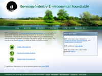 Affordable Custom Web site design Tampa Florida IBSI-US.COM Affordable Custom Web site design Tampa Florida