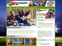 Affordable Custom Web site design Tampa Florida IBSI-US.COM Affordable Custom Web site design Tampa Florida